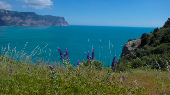 Clouds Over the Mountains