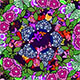Flowers Ornament Kaleido - VideoHive Item for Sale