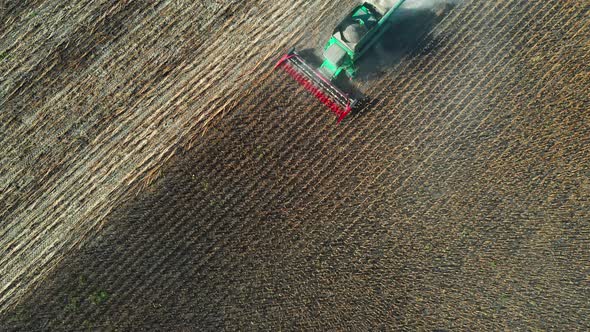 Harvesting Sunflower Combine Harvester  Tilt Reveal Drone Back Shot