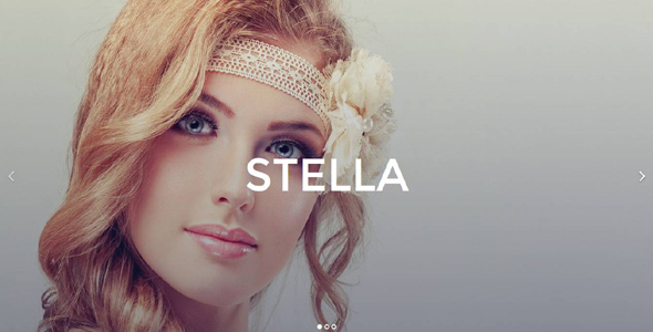 Stella - A Beautiful Photography HTML Template - Photography Creative