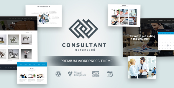 Consultant - Responsive OnePage Business WordPress Theme