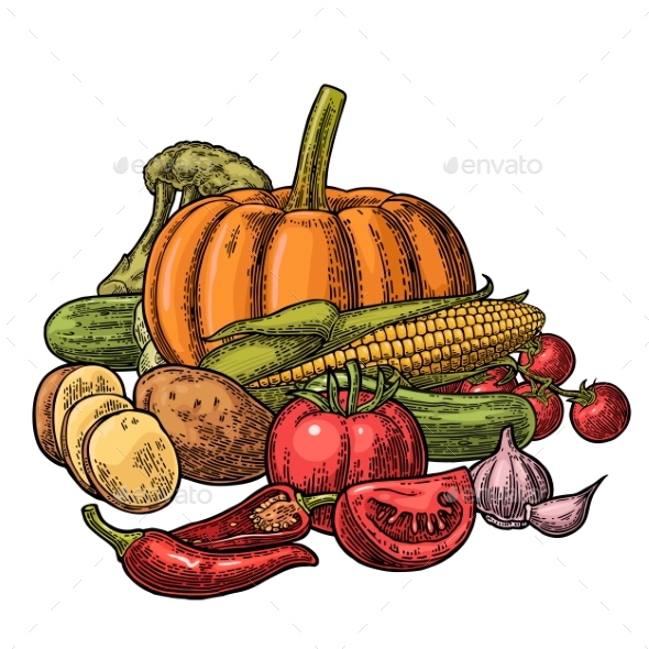 Poster with Set of Vegetables - Food Objects