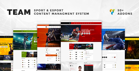 Team - Soccer, Football, Hockey, Basketball | eSport & Gaming | Sport Club News WordPress Theme - Entertainment WordPress