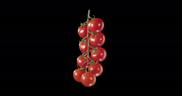 Cherry Tomatoes On A Sprig. Alpha Channel alt