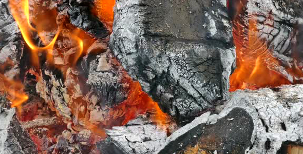 Burning Logs - Fire Place - II alt