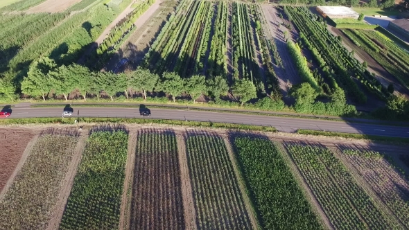 Aerial View. Cars Driving on Country Road