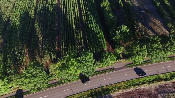 Aerial View. Cars Driving on Country Road