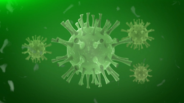 Coronavirus alt