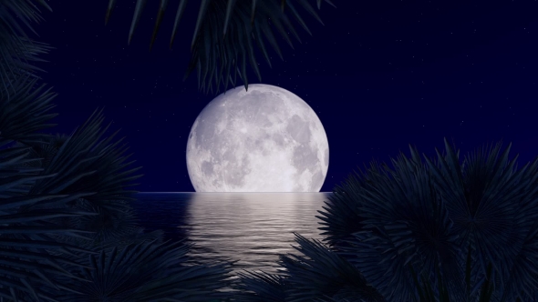 Moon Over the Ocean in Palm Trees
