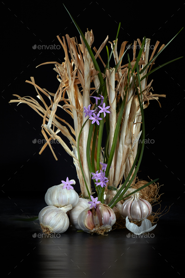 Garlic And Savage Onion Flowers