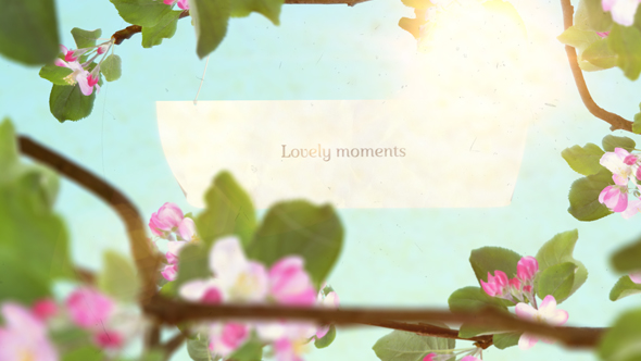 Lovely Moments - VideoHive 20175420