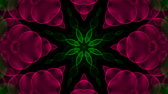 Pink Flower Kaleidoscope Loop V5