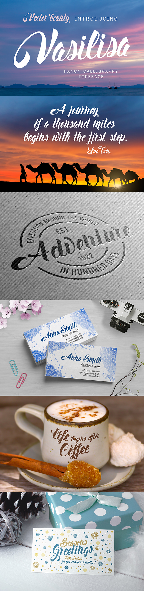 Vasilisa - Script Fonts