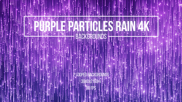 Purple Particles Rain, Motion Graphics | VideoHive