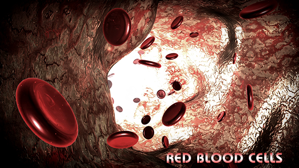 Red Blood Cells alt