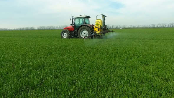 The Protection of Plants by Tractor Spraying a Green Wheat Field alt