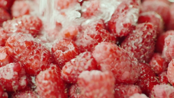 A Stream of Water Pours on Raspberries alt