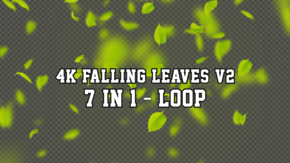 4K Falling Leaves V2 7 in 1