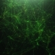 Green Abstract Background of Plexus - VideoHive Item for Sale