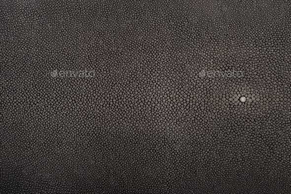 Stingray skin, leather in grey color