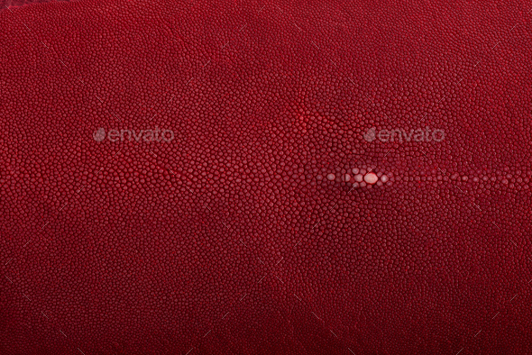 Stingray skin, leather in red color