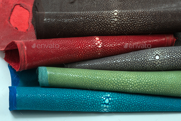 Stingray leather, exotic fish hide in five colors