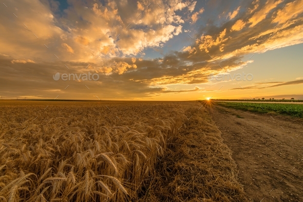Countryside Scenic Sunset - Stock Photo - Images