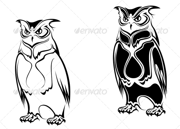 Isolated owl - Animals Characters