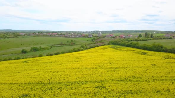 Aerial Drone View of Green Agricultural Field in the Countryside of Ukraine