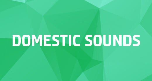 Domestic Sounds