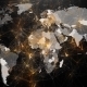 Abstract Image of Global Networks in the World in the Form of Plexus - VideoHive Item for Sale