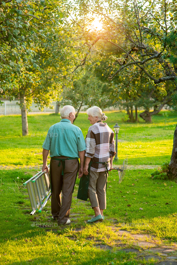 Elderly gardeners couple, back view