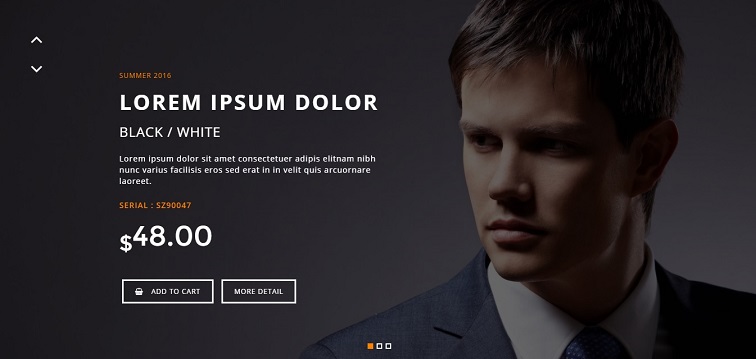 bootstrap full width vertical slider