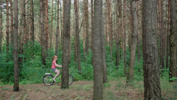 Little Girl Riding a Bicycle