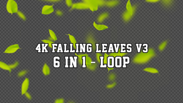 4K Falling Leaves V3 6 in 1