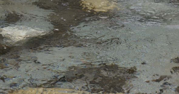 Clean Transparent Water in Brook