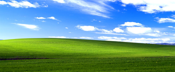 Bliss envato