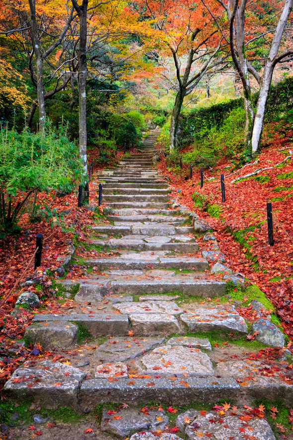 Stairway in autumn, Jojakkoji temple, Arashiyama, Kyoto, Japan Stock ...