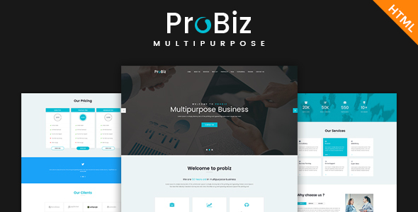 PROBIZ - MultiPurpose - ThemeForest 20267779