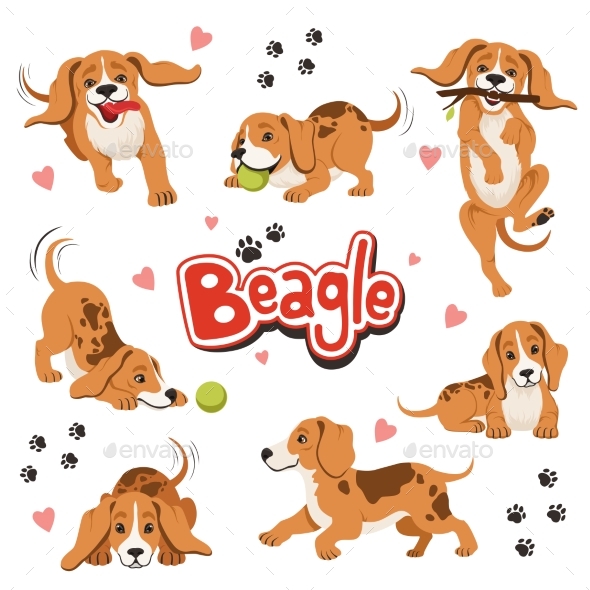 Character of Funny Movement Dog in Different - Animals Characters