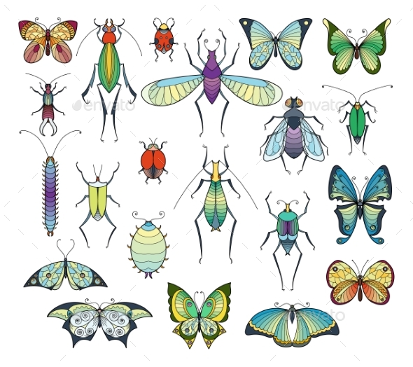 Colored Insects Isolate on White. - Characters Vectors