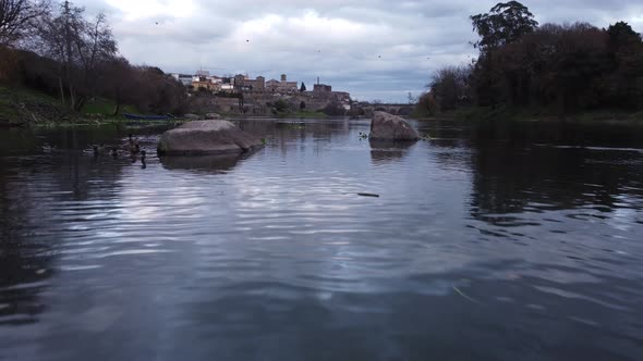 Ducks On The River 4K 04