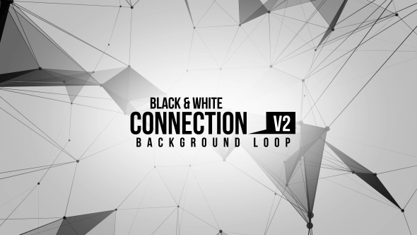 Black And White Connection V2