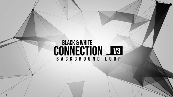 Black And White Connection V3