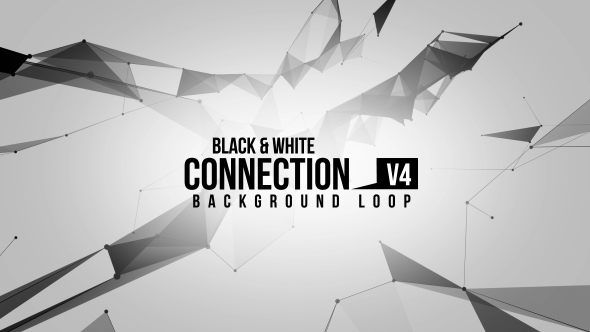 Black And White Connection V4