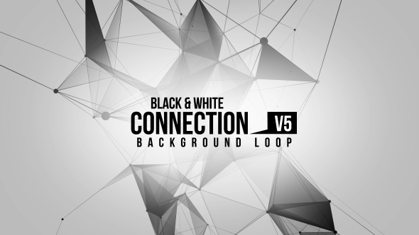 Black And White Connection V5