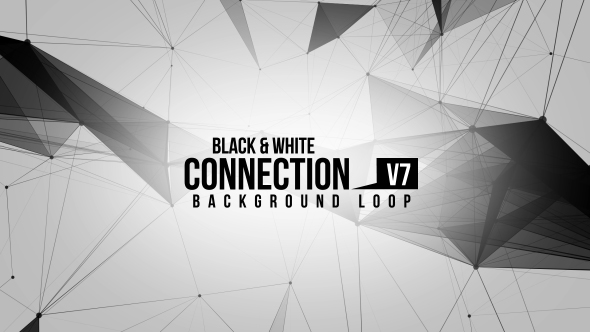 Black And White Connection V7