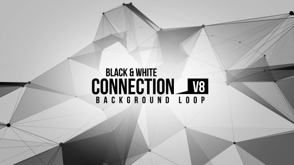 Black And White Connection V8