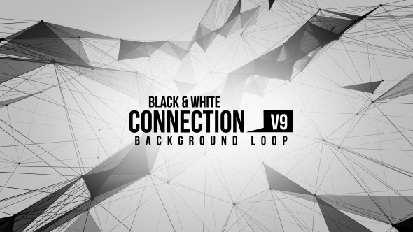 Black And White Connection V9