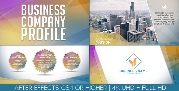 Business Company Profile - VideoHive 20274491